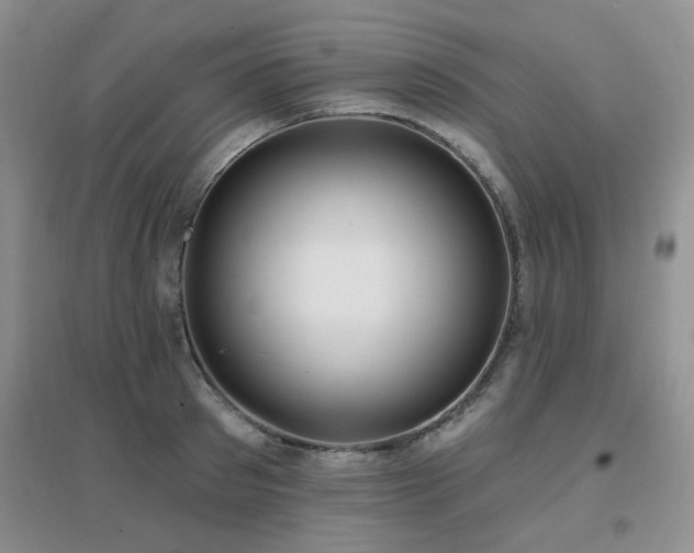X0000096970897200802081250