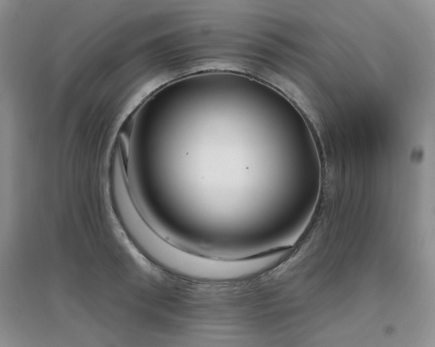 X0000096970898200802081250