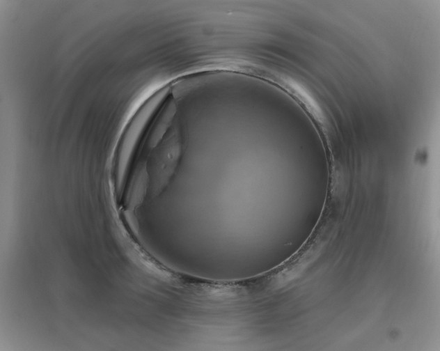 X0000096970899200802081250