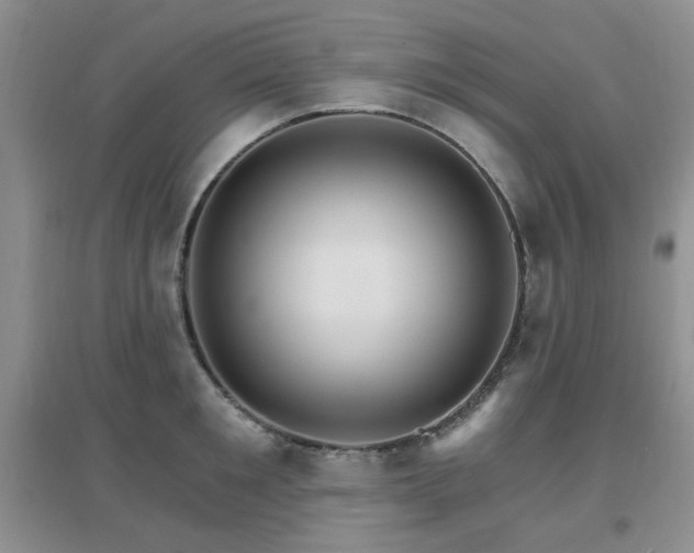 X0000096970901200802081250