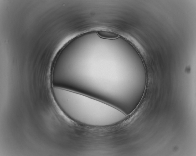 X0000096970902200802081250