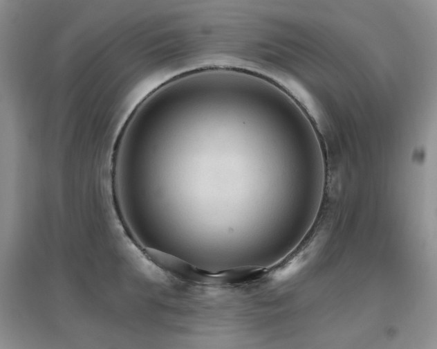 X0000096970903200802081250