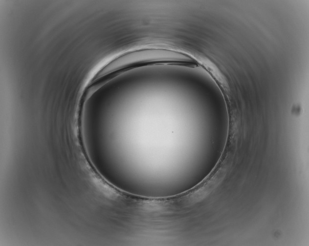 X0000096970904200802081250