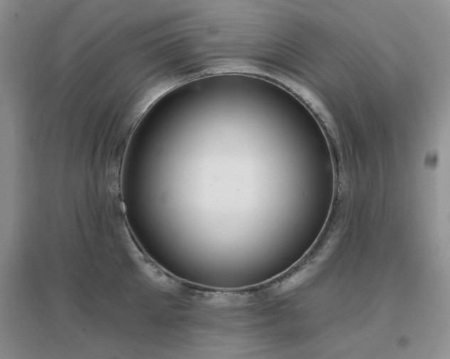 X0000096970905200802081250