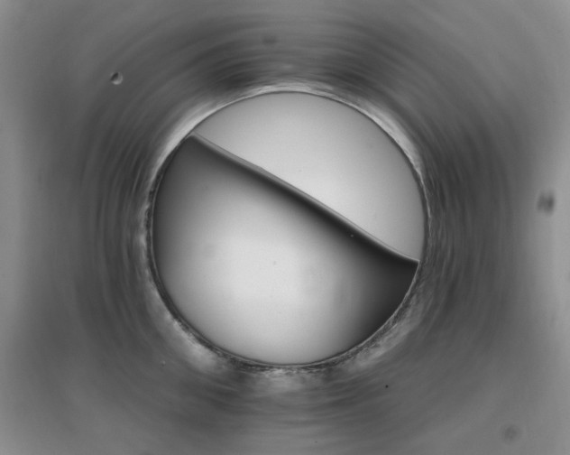 X0000096970906200802081249