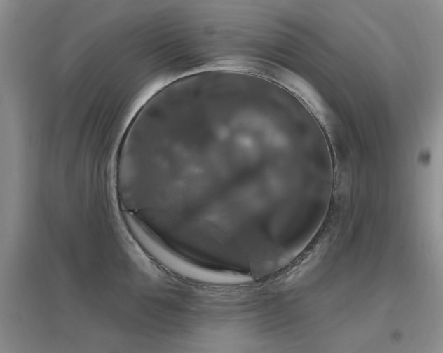 X0000096970907200802081249