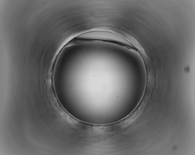 X0000096970908200802081249
