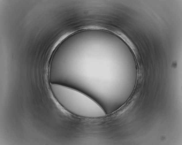 X0000096970909200802081249