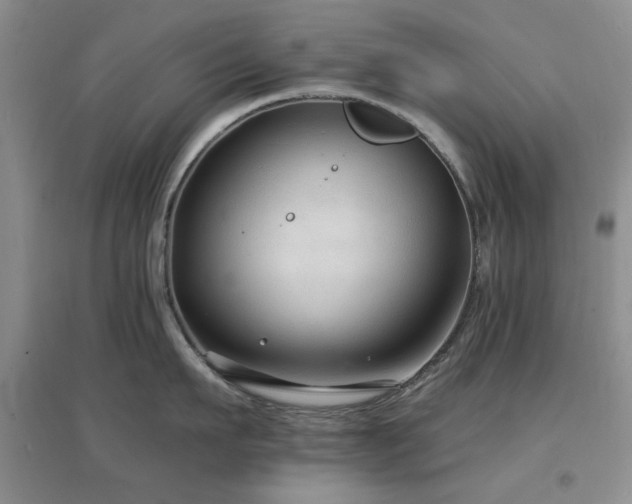 X0000096970911200802081249