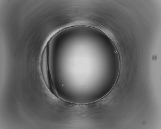 X0000096970912200802081249