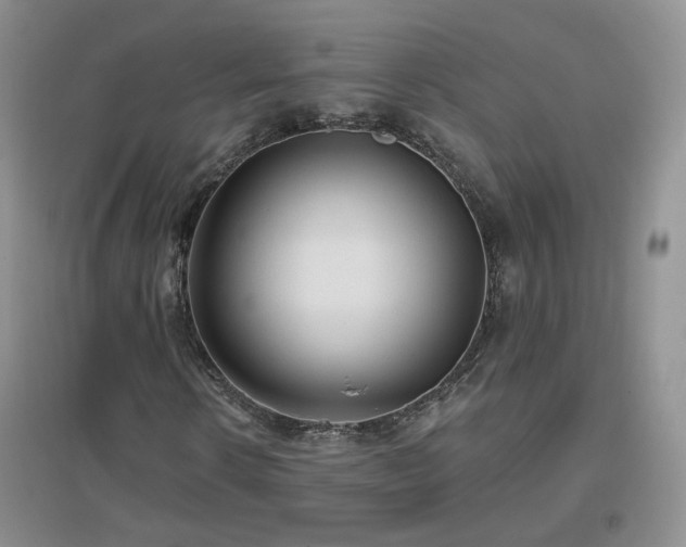 X0000096970914200802081249