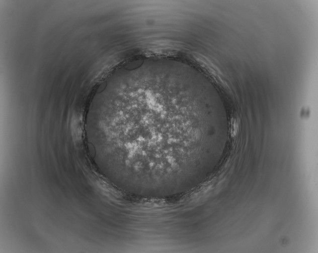 X0000096970915200802081249