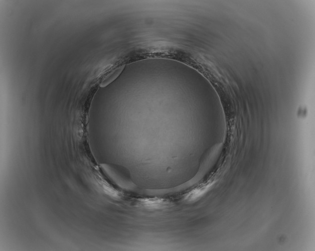 X0000096970916200802081249