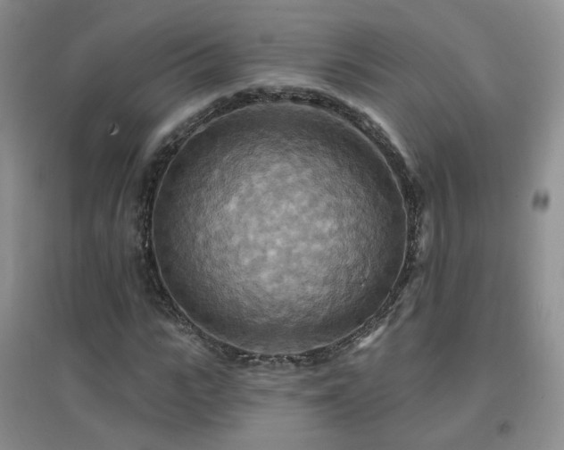 X0000096970919200802081249