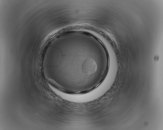 X0000096970920200802081249