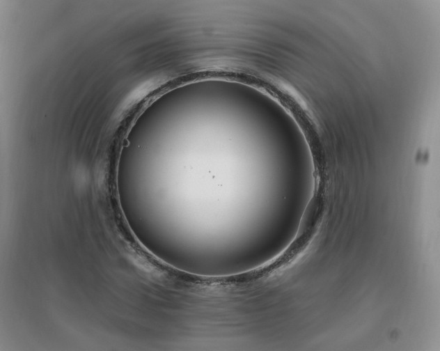 X0000096970922200802081249