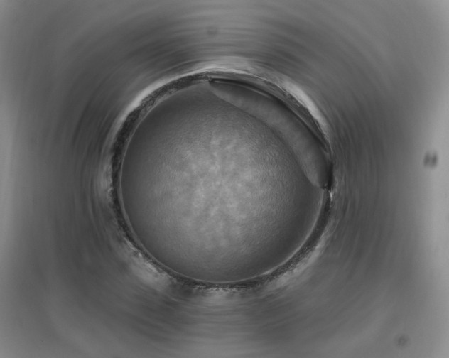 X0000096970923200802081249