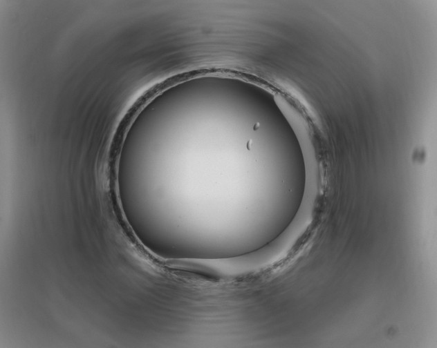 X0000096970924200802081249