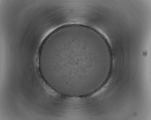 X0000096970925200802081249