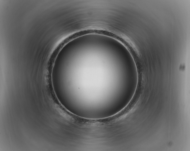 X0000096970926200802081249