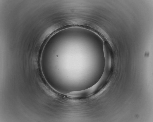 X0000096970930200802081249
