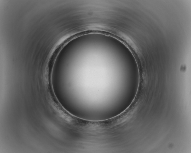 X0000096970931200802081249