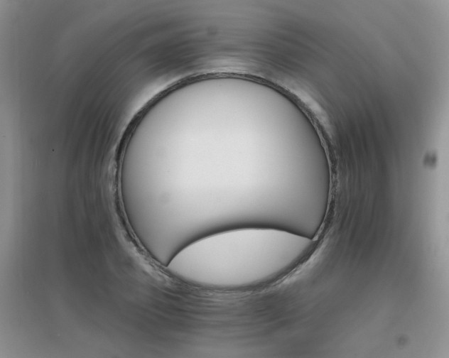 X0000096970933200802081249