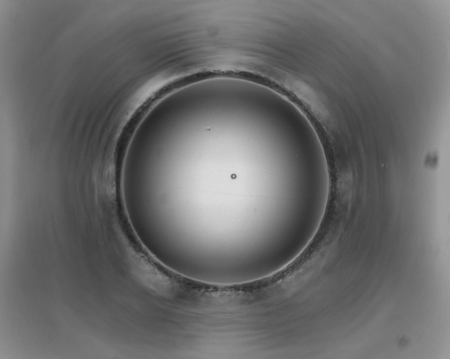 X0000096970934200802081249