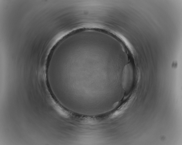 X0000096970935200802081249