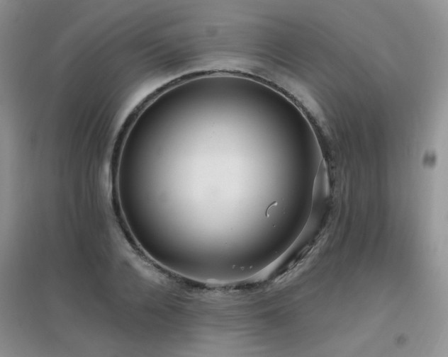 X0000096970936200802081249