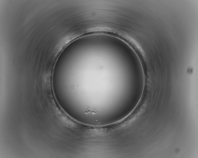 X0000096970937200802081249