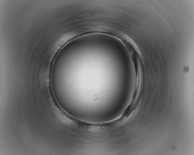 X0000096970938200802081249