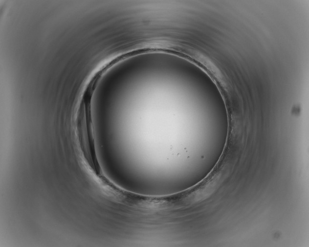 X0000096970939200802081249