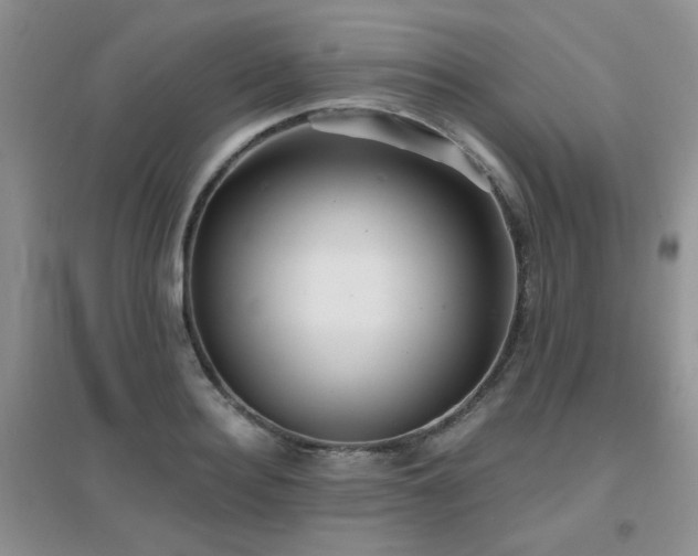 X0000096970940200802081249