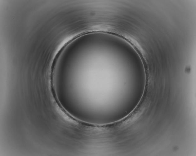 X0000096970941200802081249