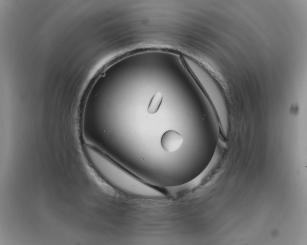 X0000096970942200802081249