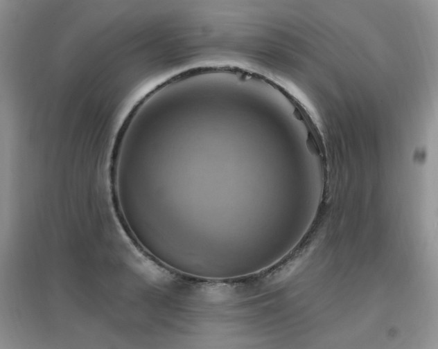X0000096970943200802081249