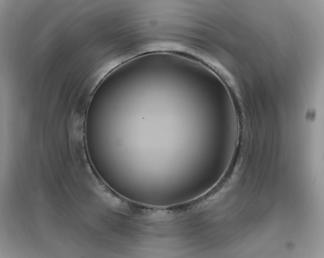 X0000096970945200802081249