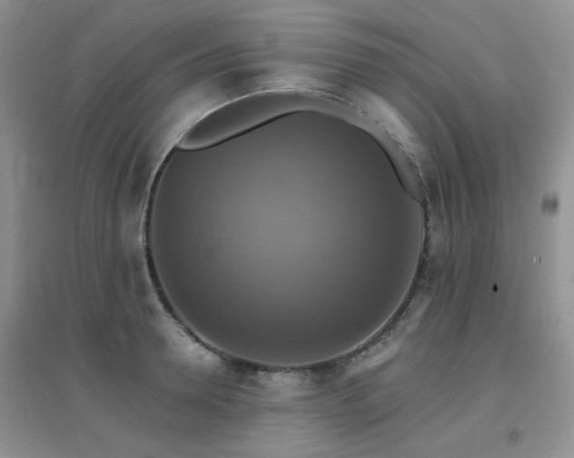 X0000096970946200802081249