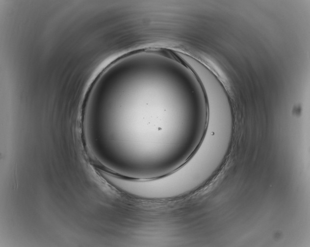 X0000096970948200802081249