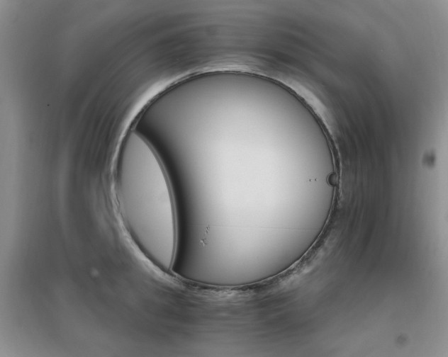 X0000096970949200802081249
