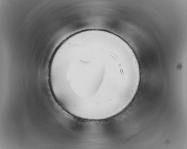 X0000096970950200802081249
