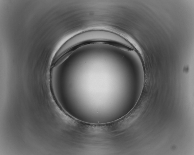 X0000096970951200802081249