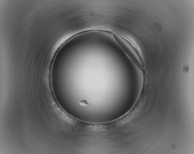 X0000096970952200802081249