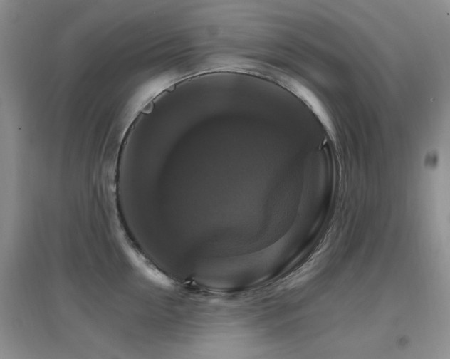 X0000096970954200802081249