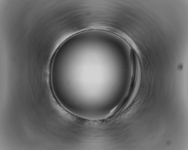X0000096970955200802081249