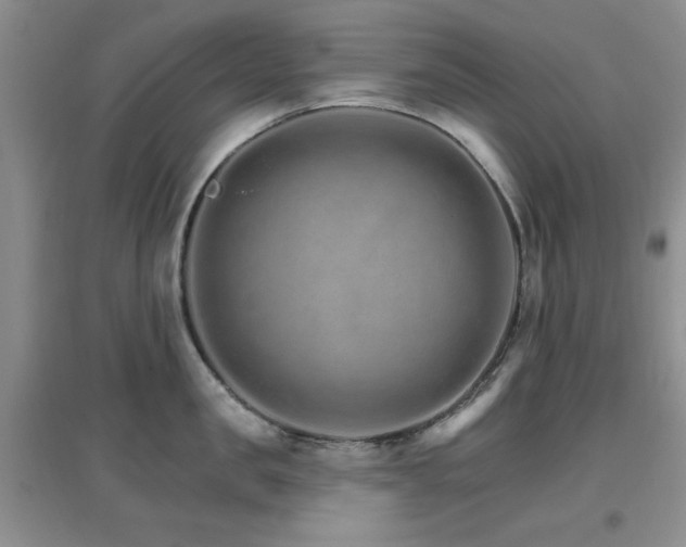 X0000096970957200802081249