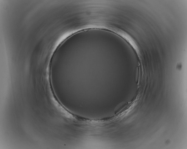 X0000096970958200802081249