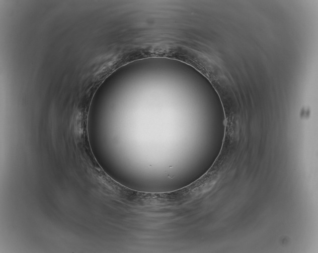 X0000096970962200802081249