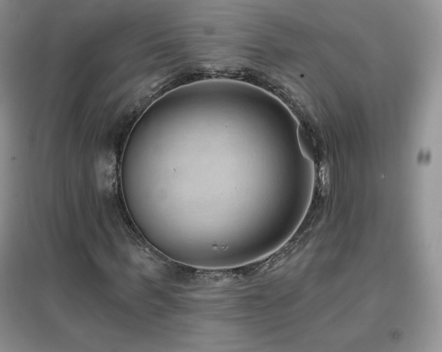 X0000096970963200802081248